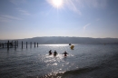 Eisschwimmen-Bodman-2018-02-24-Bodensee-Community-SEECHAT_DE-IMG_3775.JPG