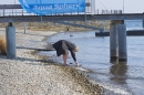 Eisschwimmen-Bodman-2018-02-24-Bodensee-Community-SEECHAT_DE-_160_.JPG