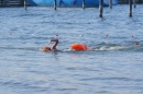 Eisschwimmen-Bodman-2018-02-24-Bodensee-Community-SEECHAT_DE-_169_.JPG