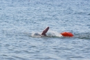 Eisschwimmen-Bodman-2018-02-24-Bodensee-Community-SEECHAT_DE-_175_.JPG