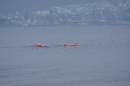 Eisschwimmen-Bodman-2018-02-24-Bodensee-Community-SEECHAT_DE-_197_.JPG
