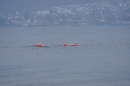 Eisschwimmen-Bodman-2018-02-24-Bodensee-Community-SEECHAT_DE-_197_.JPG