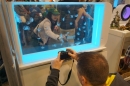 Aqua-Fisch-Messe-Friedrichshafen-2018-Bodensee-Community-SEECHAT_DE-_147_.JPG