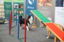 IBO-Friedrichshafen-240318-Bodenseecommunity-seechat_de-IMG_9152.jpg