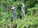 NEUFRA-Vernissage-180504-Bodensee-Community-SEECHAT_DE-_88_.JPG