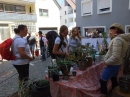 BadSAULGAU-Flohmarkt-180512-Bodensee-Community-SEECHAT_DE-_114_.JPG