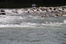 Mammut-Floosrennen-Leutswil-2018-05-27-SEECHAT_DE-_170_.jpg