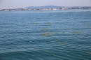 Bodenseequerung-BODENSEEBOOT-2018-07-26-Bodensee-Community-SEECHAT_DE-IMG_8791.JPG