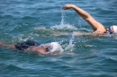 Bodenseequerung-BODENSEEBOOT-2018-07-26-Bodensee-Community-SEECHAT_DE-IMG_8872.JPG