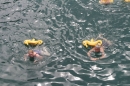 Zuercher-Limmatschwimmen-2018-08-18-Bodensee-Community-SEECHAT_DE-_86_.JPG