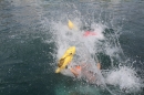 Zuercher-Limmatschwimmen-2018-08-18-Bodensee-Community-SEECHAT_DE-_928_.jpg