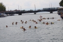 Zuercher-Limmatschwimmen-2018-08-18-Bodensee-Community-SEECHAT_DE-_98_.JPG