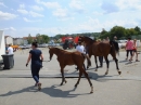 Fohlenmarkt-Riedlingen-2018-08-23-Bodensee-Community-SEECHAT_DE-_202_.JPG