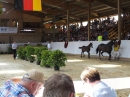 Fohlenmarkt-Riedlingen-2018-08-23-Bodensee-Community-SEECHAT_DE-_58_.JPG
