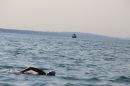 Bodenseequerung-Sandra-Hornig-Friedrichshafen-2018-Bodensee-Community-SEECHAT_DE-IMG_1108.JPG