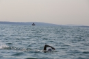 Bodenseequerung-Sandra-Hornig-Friedrichshafen-2018-Bodensee-Community-SEECHAT_DE-IMG_1110.JPG