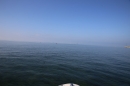 BODENSEEBOOT-Schwimmen-Katja-Rauch-2018-09-05-Bodensee-Community-SEECHAT_DE-IMG_1535.JPG