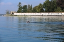 BODENSEEBOOT-Schwimmen-Katja-Rauch-2018-09-05-Bodensee-Community-SEECHAT_DE-IMG_1556.JPG