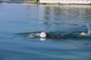 BODENSEEBOOT-Schwimmen-Katja-Rauch-2018-09-05-Bodensee-Community-SEECHAT_DE-IMG_1565.JPG