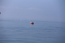 BODENSEEBOOT-Schwimmen-Katja-Rauch-2018-09-05-Bodensee-Community-SEECHAT_DE-IMG_1569.JPG