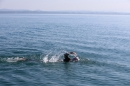 BODENSEEBOOT-Schwimmen-Katja-Rauch-2018-09-05-Bodensee-Community-SEECHAT_DE-IMG_1611.JPG