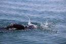 BODENSEEBOOT-Schwimmen-Katja-Rauch-2018-09-05-Bodensee-Community-SEECHAT_DE-IMG_1612.JPG