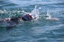 BODENSEEBOOT-Schwimmen-Katja-Rauch-2018-09-05-Bodensee-Community-SEECHAT_DE-IMG_1641.JPG