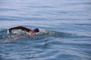 BODENSEEBOOT-Schwimmen-Katja-Rauch-2018-09-05-Bodensee-Community-SEECHAT_DE-IMG_1654.JPG