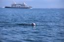 BODENSEEBOOT-Schwimmen-Katja-Rauch-2018-09-05-Bodensee-Community-SEECHAT_DE-IMG_1691.JPG