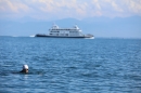 BODENSEEBOOT-Schwimmen-Katja-Rauch-2018-09-05-Bodensee-Community-SEECHAT_DE-IMG_1693.JPG