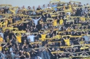 FC-Schaffhausen-2018-09-15-Bodensee-Community-SEECHAT_DE-_25_.JPG