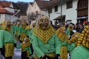 Fasnetsumzug-Eberhardzell-24022019-Bodensee-Community-SEECHAT_DE-_188_.jpg