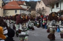 Fasnetsumzug-Eberhardzell-24022019-Bodensee-Community-SEECHAT_DE-_95_.jpg