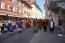 Narrenbaum-2019-02-28-Bodensee-Community-SEECHAT_DE-DSC03186.JPG