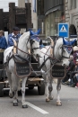 20190408_Sechseluete-Bodensee-Community-SEECHAT_DE-_53_.jpg