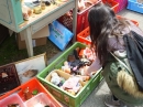 Flohmarkt-Riedlingen-2019-05-18-Bodensee-Community-seechat_de-_102_.JPG