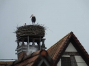 Flohmarkt-Riedlingen-2019-05-18-Bodensee-Community-seechat_de-_176_.JPG