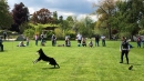 Hundeshow-Rorschach-2019-05-19-Bodensee-Community-SEECHAT_DE-_10_.jpg