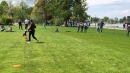 Hundeshow-Rorschach-2019-05-19-Bodensee-Community-SEECHAT_DE-_12_.jpg