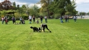 Hundeshow-Rorschach-2019-05-19-Bodensee-Community-SEECHAT_DE-_22_.jpg