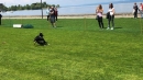 Hundeshow-Rorschach-2019-05-19-Bodensee-Community-SEECHAT_DE-_23_.jpg