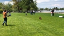 Hundeshow-Rorschach-2019-05-19-Bodensee-Community-SEECHAT_DE-_24_.jpg