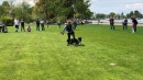 Hundeshow-Rorschach-2019-05-19-Bodensee-Community-SEECHAT_DE-_33_.jpg