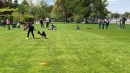 Hundeshow-Rorschach-2019-05-19-Bodensee-Community-SEECHAT_DE-_39_.jpg