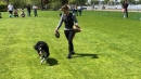 Hundeshow-Rorschach-2019-05-19-Bodensee-Community-SEECHAT_DE-_45_.jpg