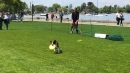xHundeshow-Rorschach-2019-05-19-Bodensee-Community-SEECHAT_DE-_102_.jpg