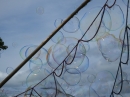 Tag-der-Bundeswehr-Pfullendorf-2019-06-15-Bodensee-Community-SEECHAT_DE-_166_.JPG
