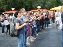 Waldstadion-Open-Air-Neufra-2019-07-06-Bodensee-Community-seechat_de-_108_.JPG