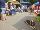 Waldflohmarkt-Rosna-Mengen-2019-07-07-Bodensee-Community-SEECHAT_DE_23_.JPG