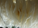 BIBERACH-pro_arte-Vernissage-NaturResonanzen-190711DSCF5721.JPG